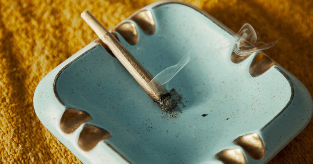 Wietexperiment met overheidswiet - coffeeshop John & Co geopend in Hellevoetsluis 