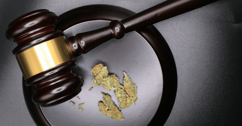 Wietexperiment met overheidswiet - Teler Project-C wint rechtzaak en overweegt schadeclaim