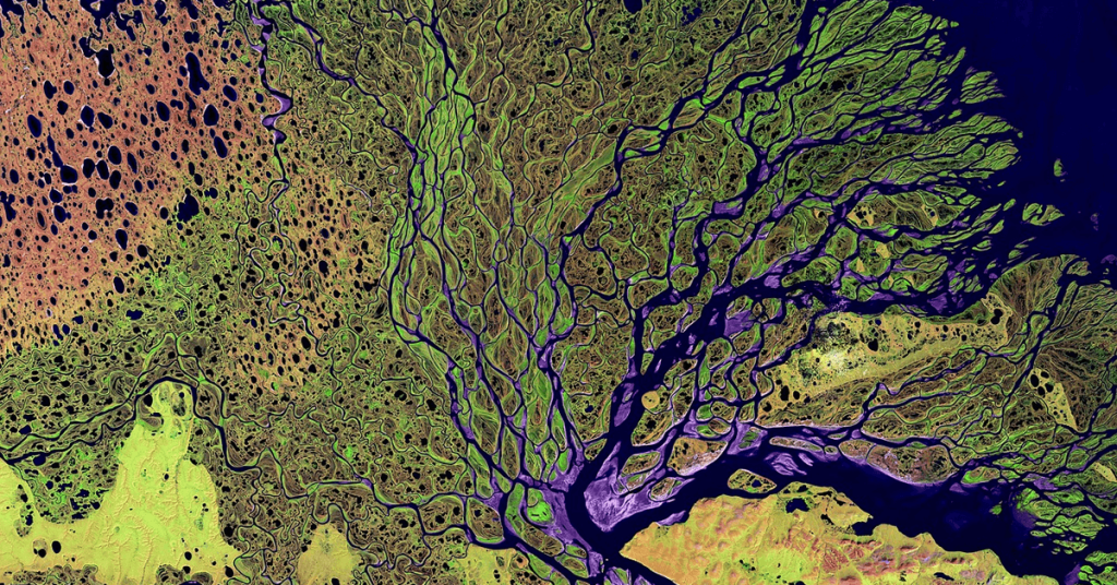 Wietexperiment met overheidswiet - Satellieten zoeken naar illegale wietteelt