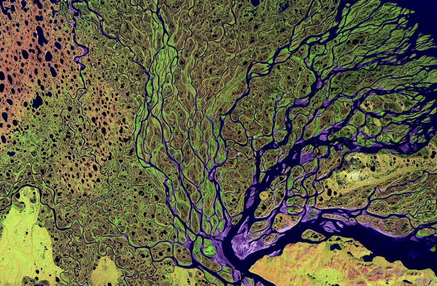 Wietexperiment met overheidswiet - Satellieten zoeken naar illegale wietteelt